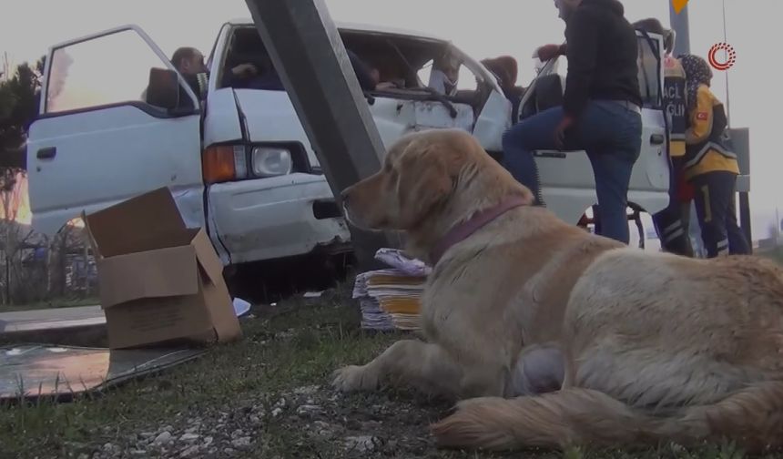 Kaza sonucu araçta sıkışan adamın köpeği bakın ne yaptı...