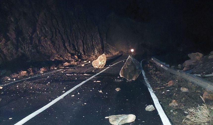 Artvin-Ardahan karayolunda heyelan meydana geldi