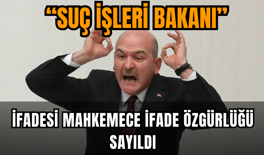'Suç İşleri Bakanı’ ifadesini mahkeme ifade özgürlüğü olarak kabul etti