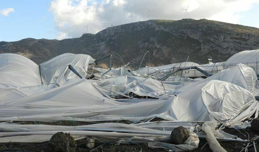 Hatay Samandağ'da hortum seraları vurdu! Zarar 1 milyon