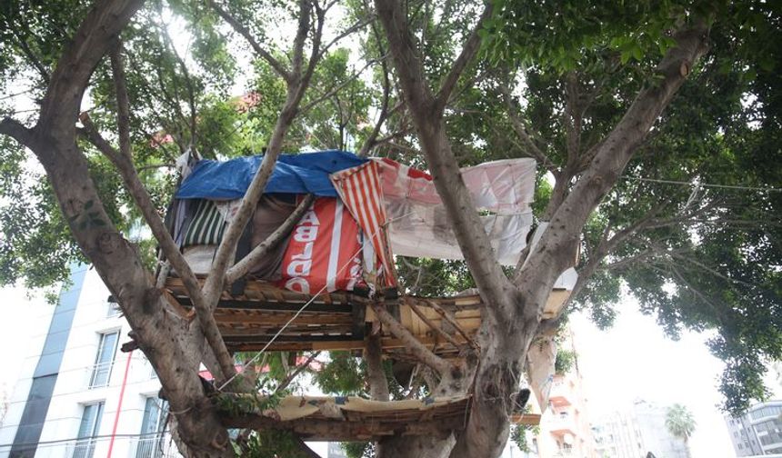 Mersin'de ağaçkondu yaptılar! Gören dönüp bir daha bakıyor