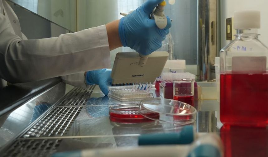 Türk bilim insanları geliştirdi! Koronavirüsü yüzde 99 engelleyen burun spreyi