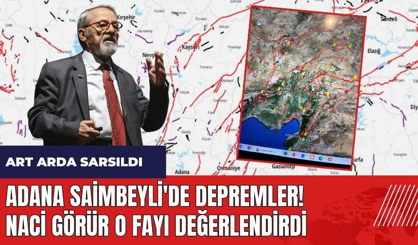 Adana Saimbeyli'de depremler! Naci Görür o fayı değerlendirdi