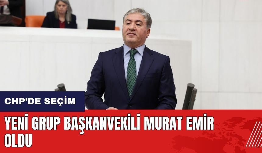 CHP yeni Grup Başkanvekili Murat Emir oldu
