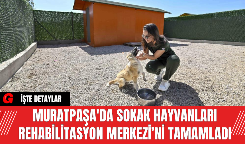 Muratpaşa'da Sokak Hayvanları Rehabilitasyon Merkezi’ni Tamamladı