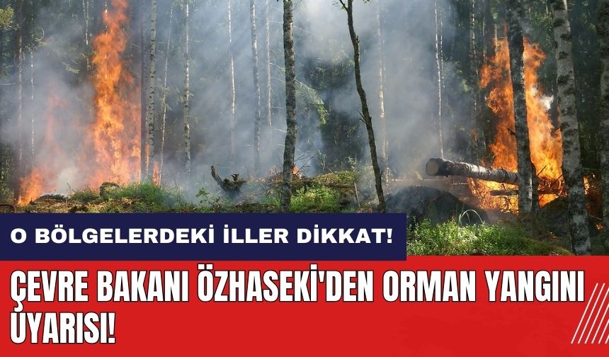 O bölgelerdeki iller dikkat! Çevre Bakanı Özhaseki'den orman yangını uyarısı