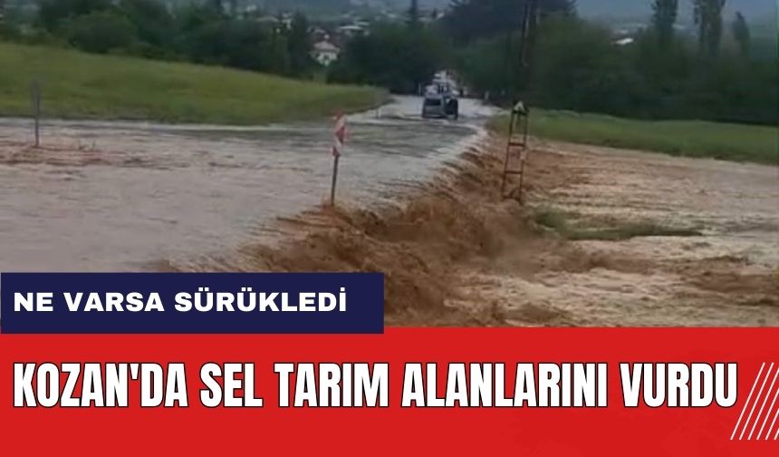 Adana Kozan'da sel tarım alanlarını vurdu