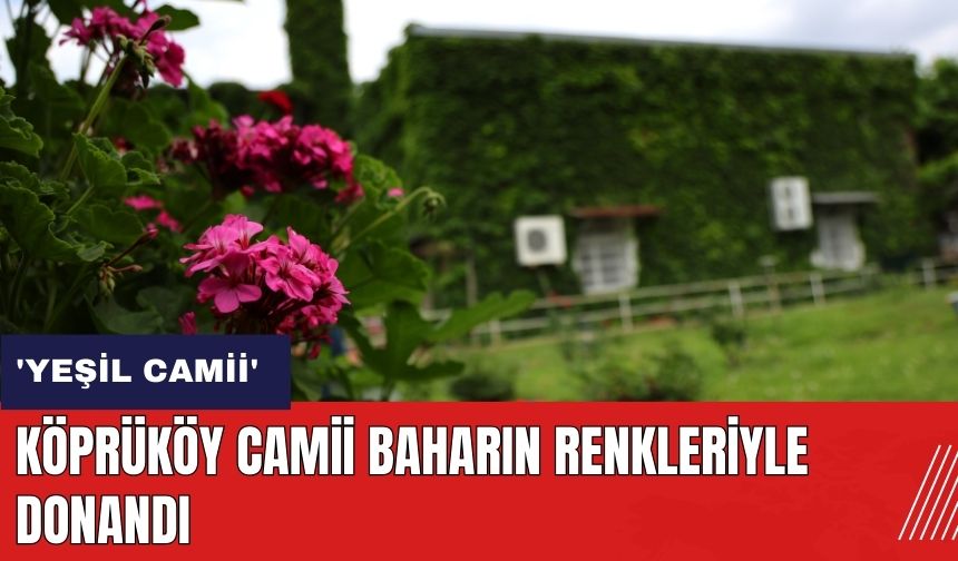Adana'da Köprüköy Camii baharın renkleriyle donandı