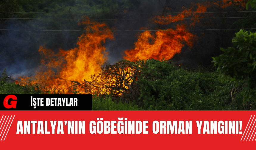 Antalya'nın Göbeğinde Orman Yangını!
