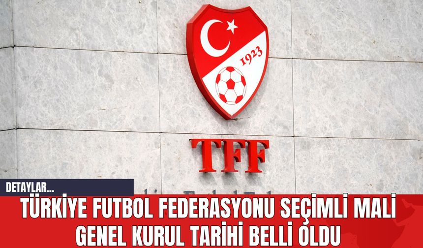 Türkiye Futbol Federasyonu Seçimli Mali Genel Kurul Tarihi Belli Oldu