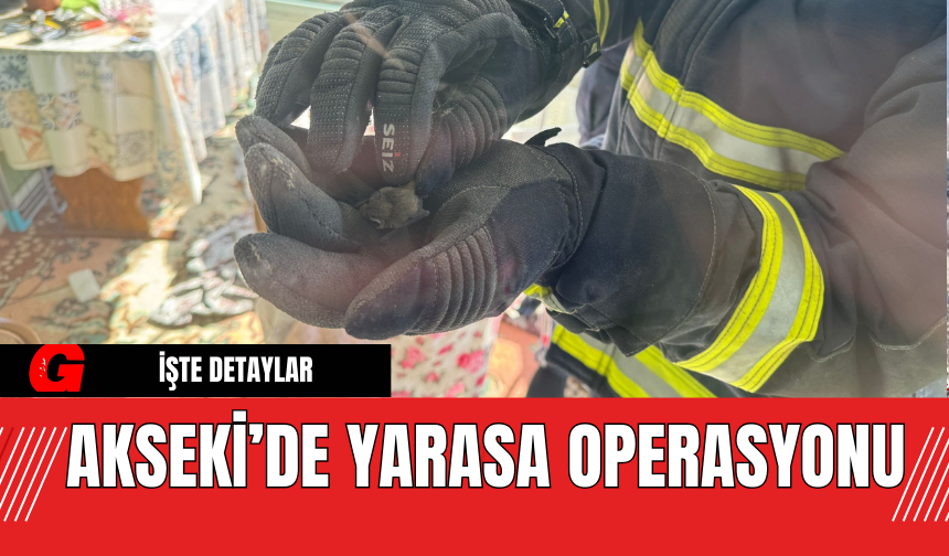 Akseki'de Yarasa Operasyonu