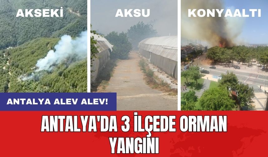 Antalya alev alev! Antalya'da 3 ilçede orman yangını!