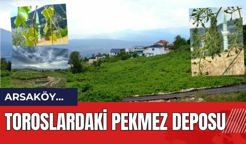 Gezen Objektif: Toroslardaki pekmez deposu: ARSAKÖY