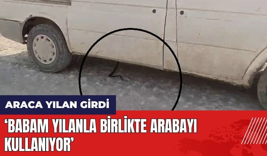 Hatay'da araca yılan girdi: Babam yılanla birlikte arabayı kullanıyor