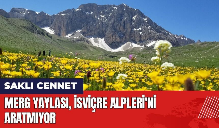 Munzur Dağları'nın eteğindeki Merg Yaylası İsviçre Alpleri'ni aratmıyor