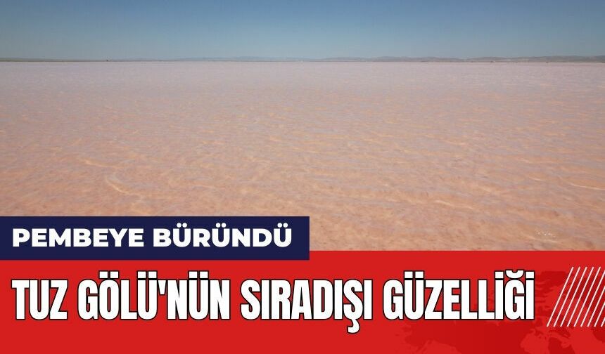 Tuz Gölü'nün sıradışı güzelliği: Pembeye büründü