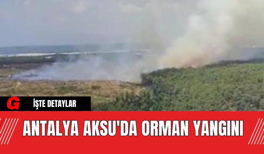 Antalya Aksu'da Orman Yangını