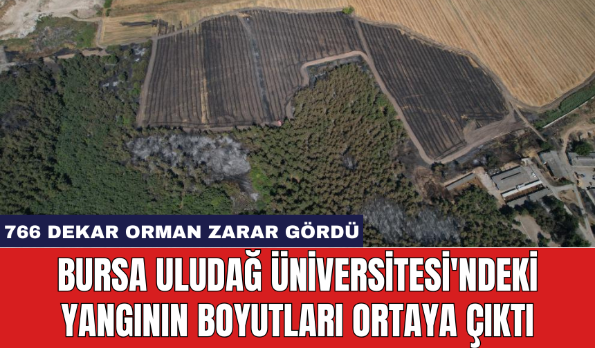 Bursa Uludağ Üniversitesi'ndeki yangının boyutları ortaya çıktı