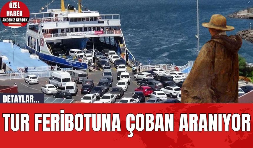 Tur feribotuna çoban aranıyor