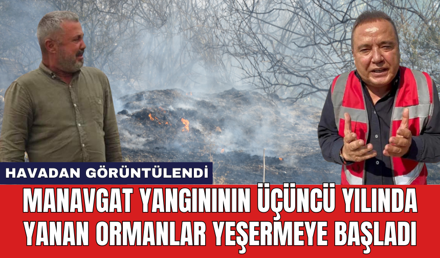 Manavgat yangınının üçüncü yılında yanan ormanlar yeşermeye başladı