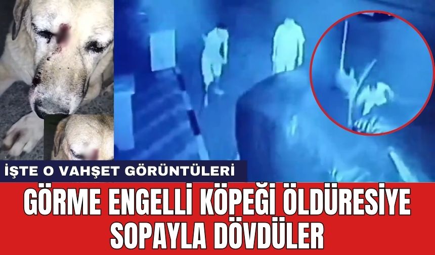 İzmir'de vahş*t! Görme engelli köpek öld*resiye dövüldü