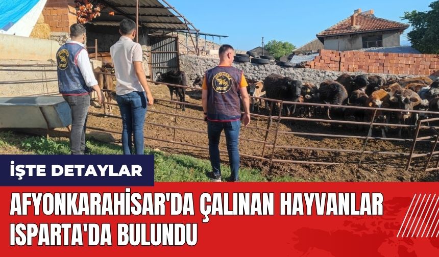 Afyonkarahisar'da çalınan hayvanlar Isparta'da bulundu