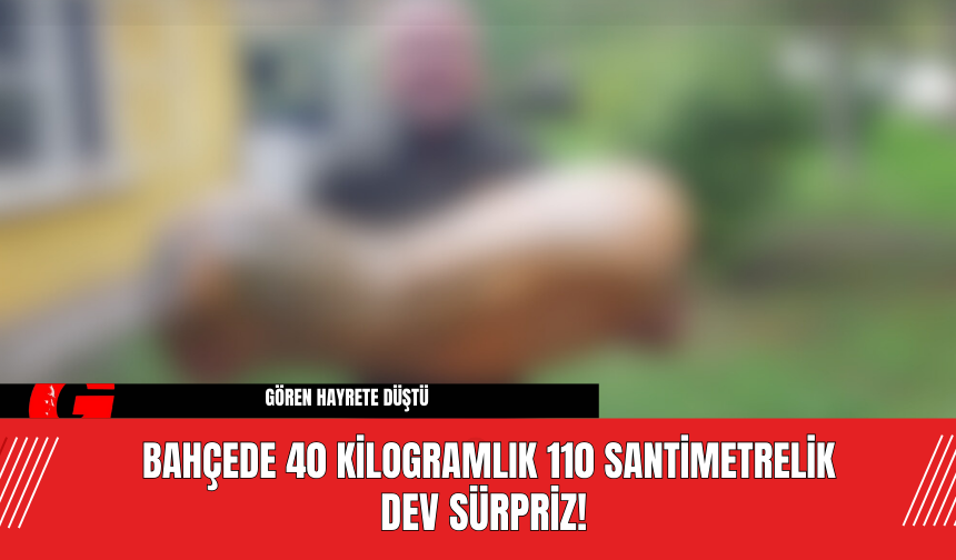 Bahçede Dev Sürpriz! 40 Kilogram 110 santimetre