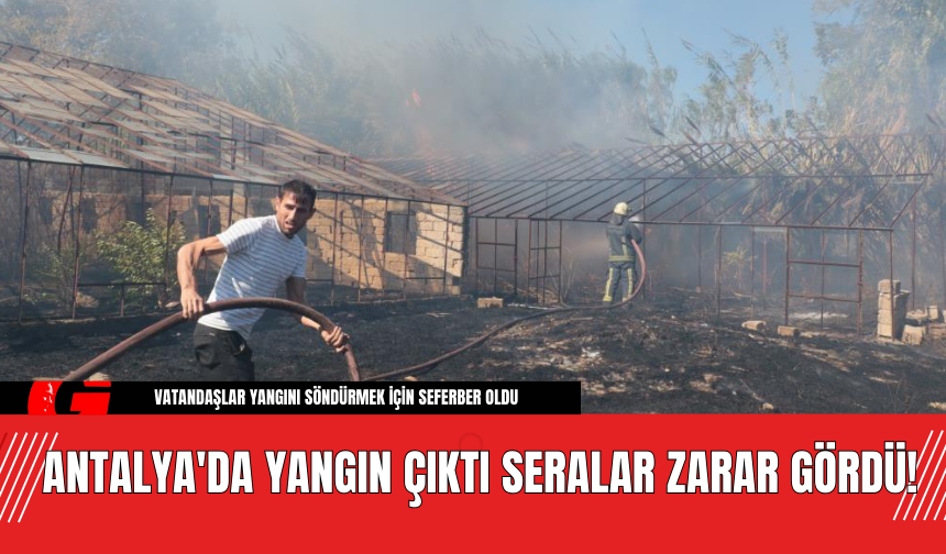 Antalya'da Yangın Çıktı Seralar Zarar Gördü!