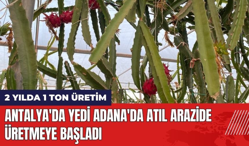 Antalya'da Yedi Adana'da Atıl Arazide Üretmeye Başladı