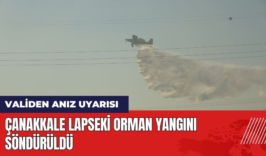 Çanakkale Lapseki Orman Yangını Söndürüldü