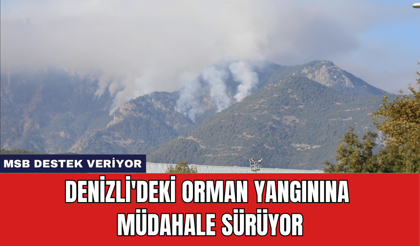 Denizli'deki Orman Yangınına Müdahale Sürüyor