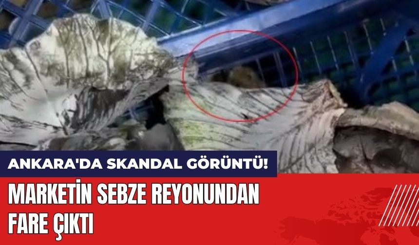 Marketin Sebze Reyonundan Fare Çıktı