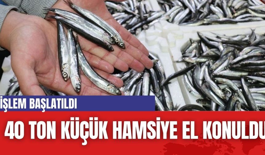 40 ton küçük hamsiye el konuldu