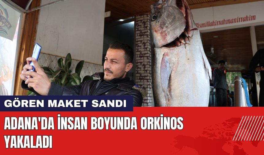 Adana'da İnsan Boyunda Orkinosu Gören Maket Sandı