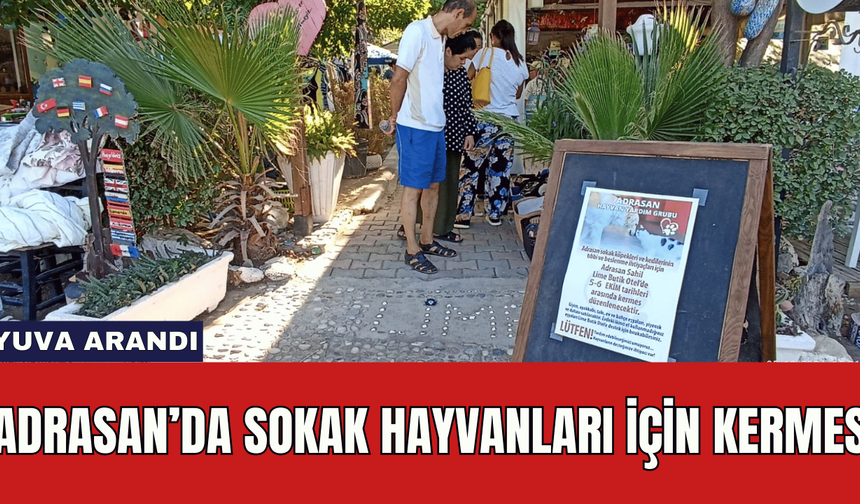 ADRASAN’DA SOKAK HAYVANLARI İÇİN KERMES