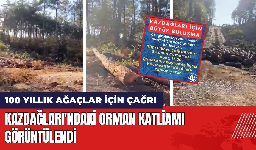 Kazdağları'ndaki Orman Katliamı Görüntülendi