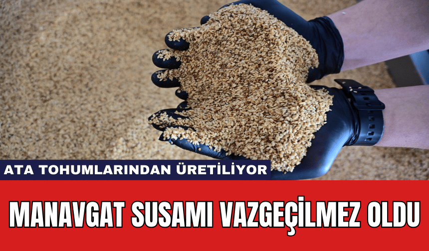 Manavgat Susamı Vazgeçilmez Oldu