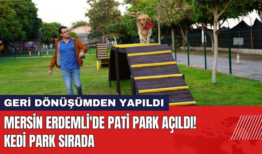 Mersin Erdemli'de Pati Park Açıldı! Kedi Park Sırada