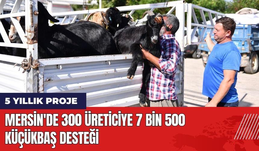 Mersin'de 300 Üreticiye 7 Bin 500 Küçükbaş Desteği