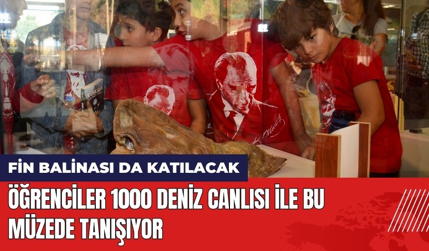 Öğrenciler 1000 Deniz Canlısı İle Bu Müzede Tanışıyor