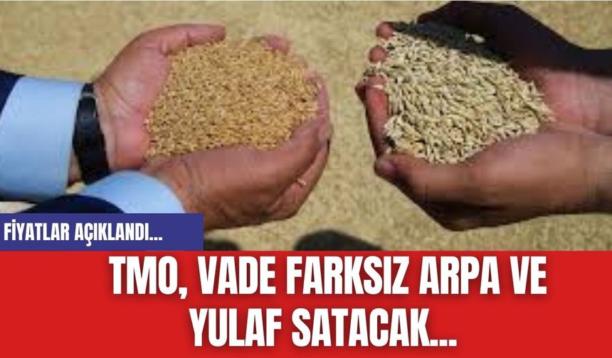 TMO, vade farksız arpa ve yulaf satacak... Fiyatlar Açıklandı...