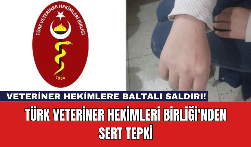 Veteriner Hekimlere Baltalı Saldırı! Türk Veteriner Hekimleri Birliği'nden Sert Tepki