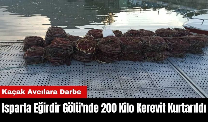 Isparta Eğirdir Gölü'nde 200 Kilo Kerevit Kurtarıldı