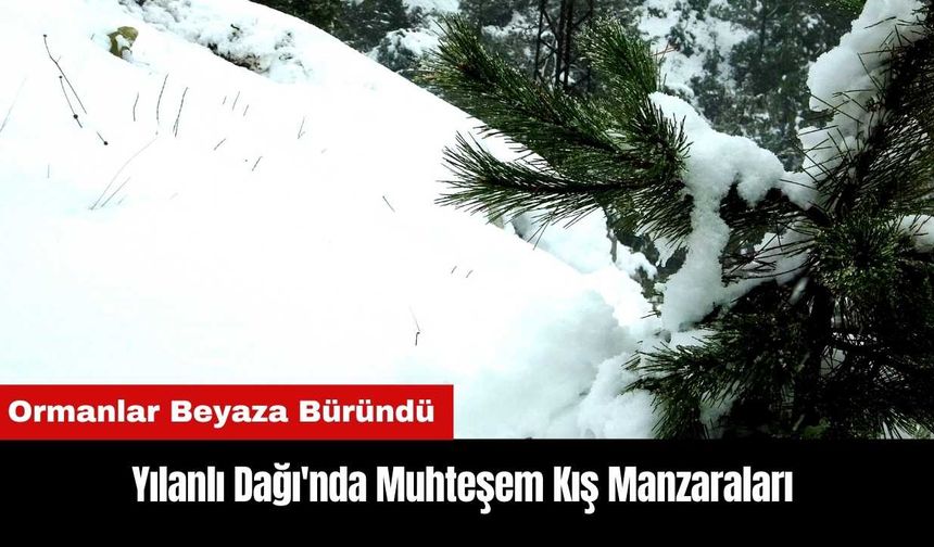 Yılanlı Dağı'nda Muhteşem Kış Manzaraları