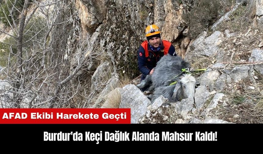 Burdur'da Keçi Dağlık Alanda Mahsur Kaldı!