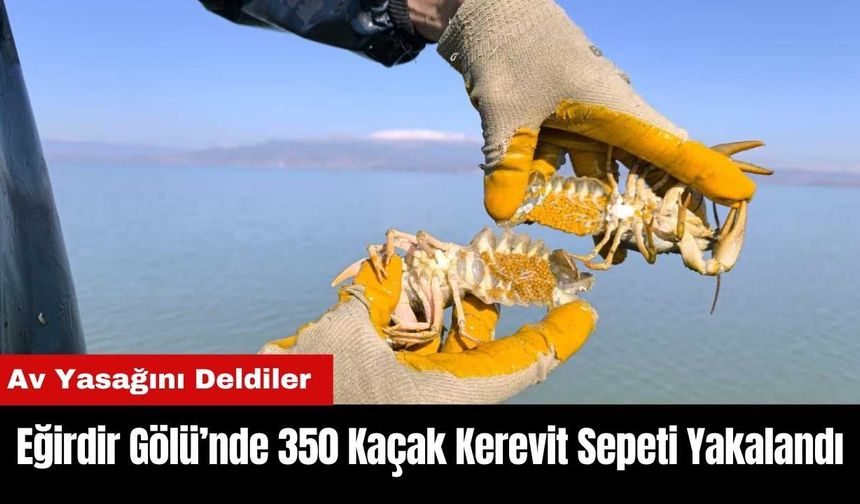 Eğirdir Gölü’nde 350 Kaçak Kerevit Sepeti Yakalandı