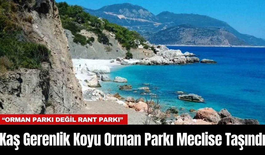 Kaş Gerenlik Koyu Orman Parkı Meclise Taşındı