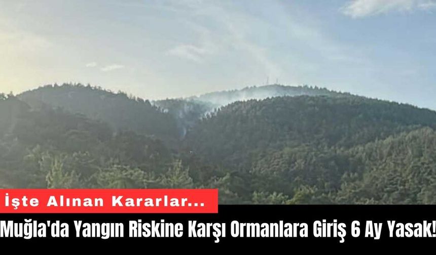 Muğla'da Yangın Riskine Karşı Ormanlara Giriş 6 Ay Yasak!