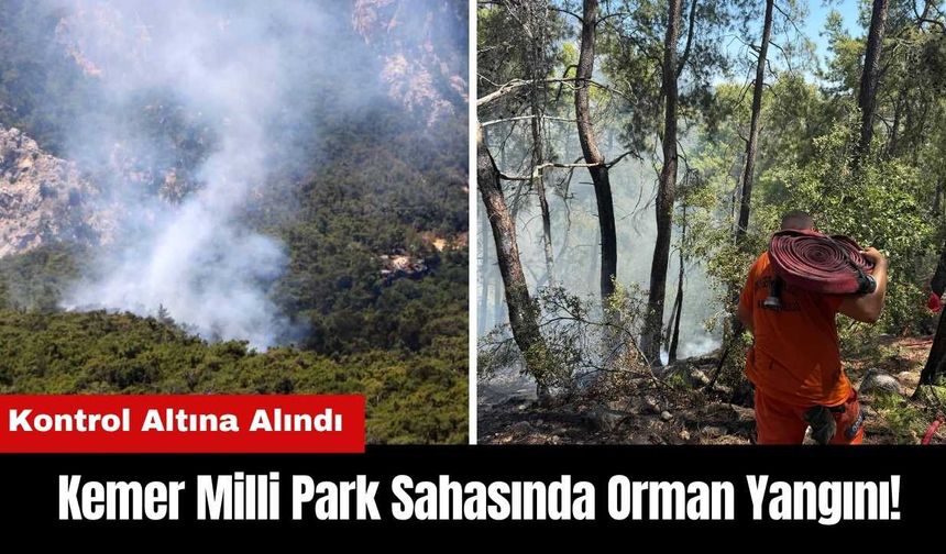 Antalya Kemer Milli Park Sahasında Orman Yangını!